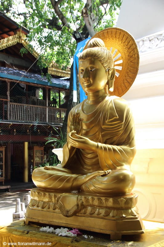 Goldener Buddha im Tempel