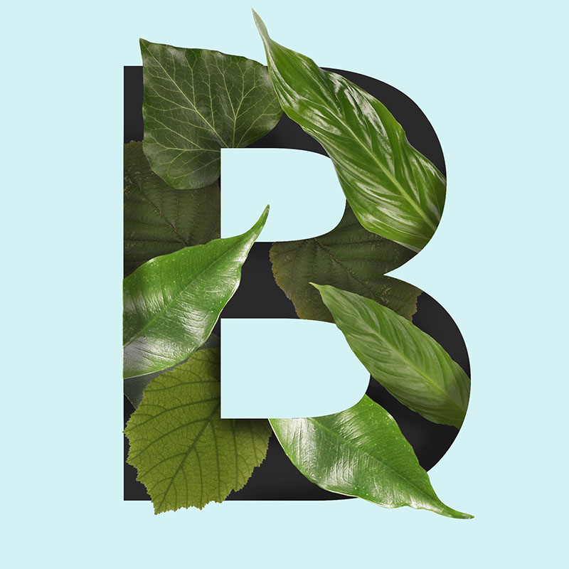 Ein B aus dem Blätter wachsen
